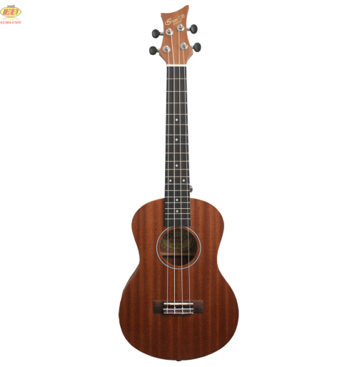 Ivan's UT-10 tenor ukulele
